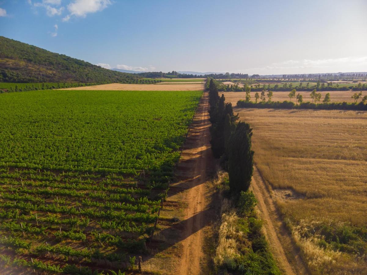 Antica Fattoria La Parrina Farm stay *
