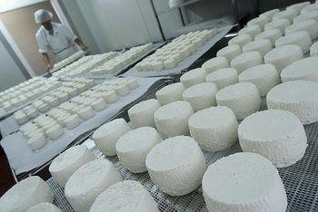 Antica Fattoria La Parrina