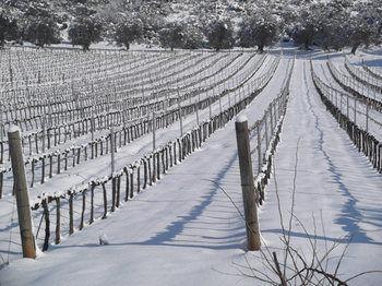 Antica Fattoria La Parrina Agroturismo Orbetello