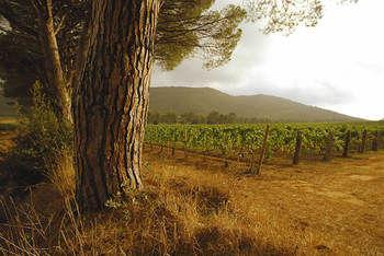 Farm stay Antica Fattoria La Parrina Orbetello