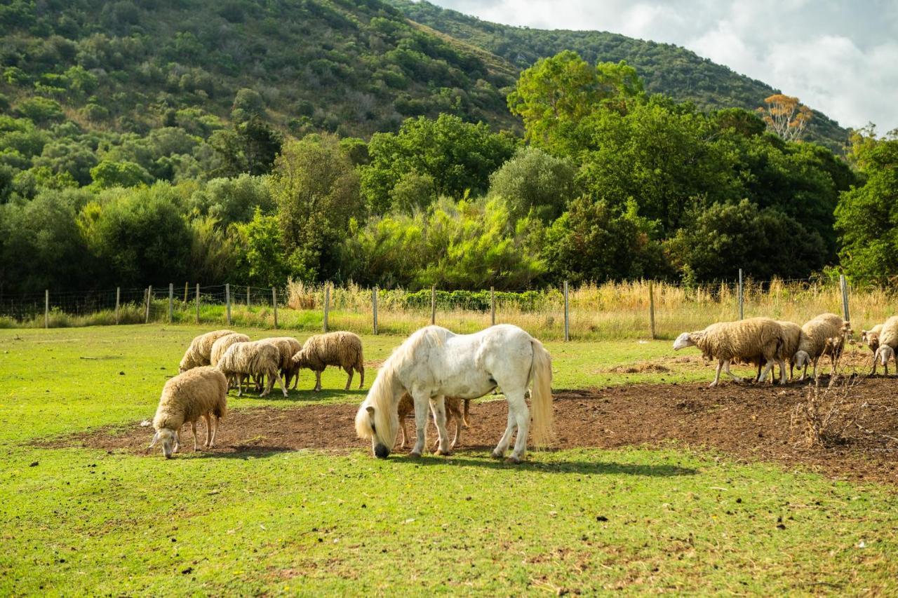 Antica Fattoria La Parrina Bauernhof Orbetello