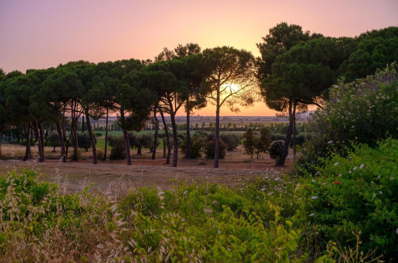 Antica Fattoria La Parrina Bauernhof *